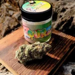 Zourz Runtz Strain