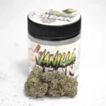 Vanilla Bean
