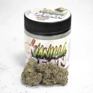 Vanilla Bean