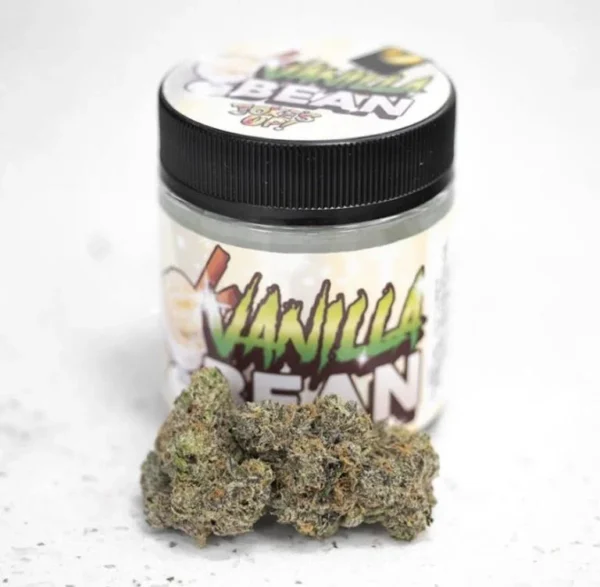 Vanilla Bean