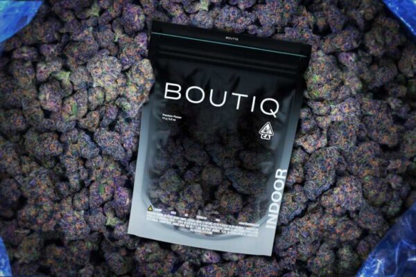 Boutiq Bulk Flowers