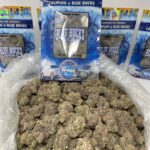 Caliplug X Bluebucks Nerdz