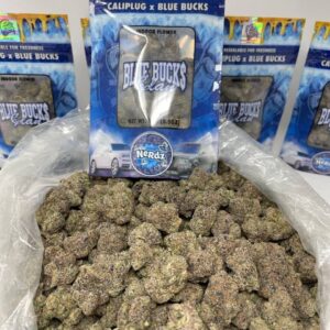 Caliplug X Bluebucks Nerdz