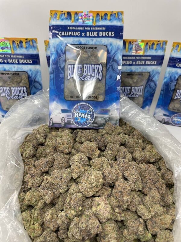 Caliplug X Bluebucks Nerdz