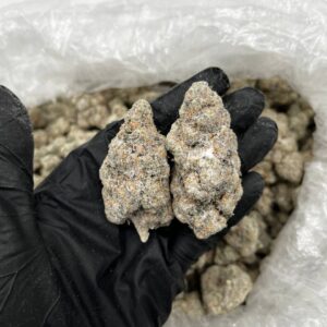 Oreos Snowball Strain