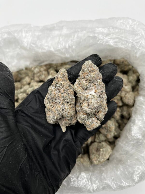 Oreos Snowball Strain