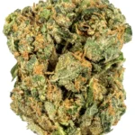 Blanco Strain