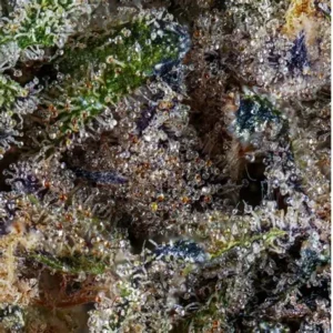 Caliplug X Bluebucks Nerdz Strain