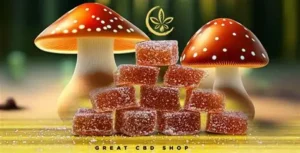 The Mushroom Project Mushroom Gummies