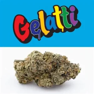 Gelatti Strain