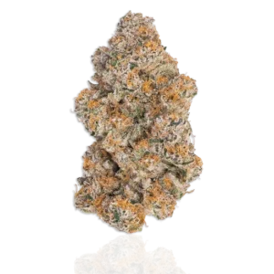 Durban Poison Strain