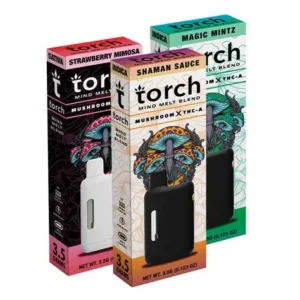 Torch Mind Melt Blend Disposable